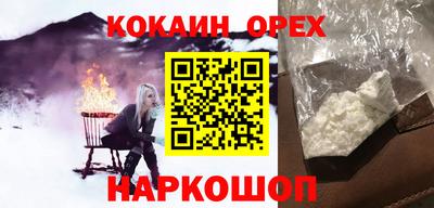 крисы Можга