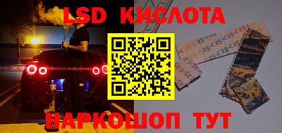 крисы Можга