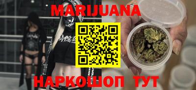 крисы Можга