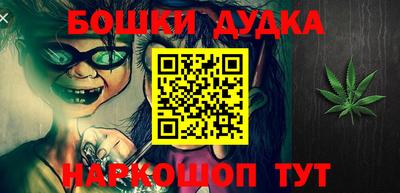 крисы Можга