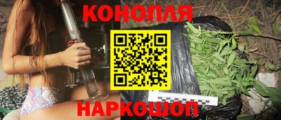 крисы Можга