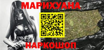 крисы Можга