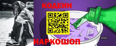 крисы Можга