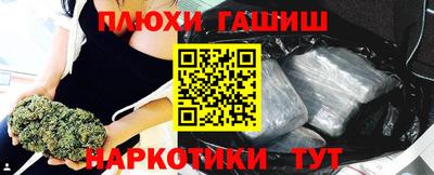 крисы Можга
